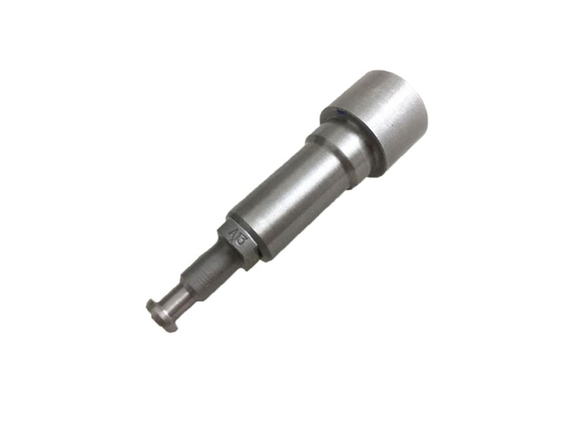 Plunger Pompa Injektor Diesel 2418455333